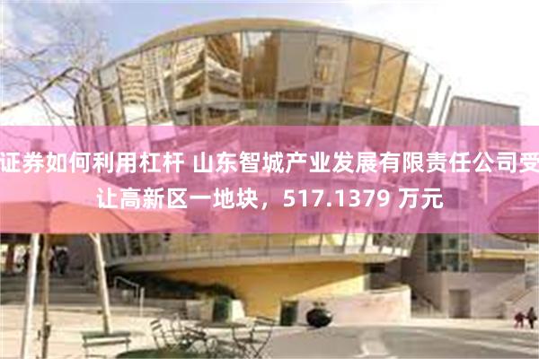 证券如何利用杠杆 山东智城产业发展有限责任公司受让高新区一地