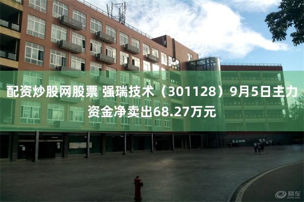 配资炒股网股票 强瑞技术（301128）9月5日主力资金净卖