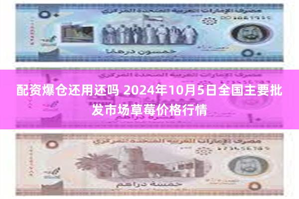 配资爆仓还用还吗 2024年10月5日全国主要批发市场草莓价