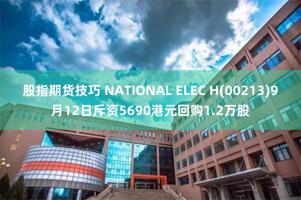 股指期货技巧 NATIONAL ELEC H(00213)9