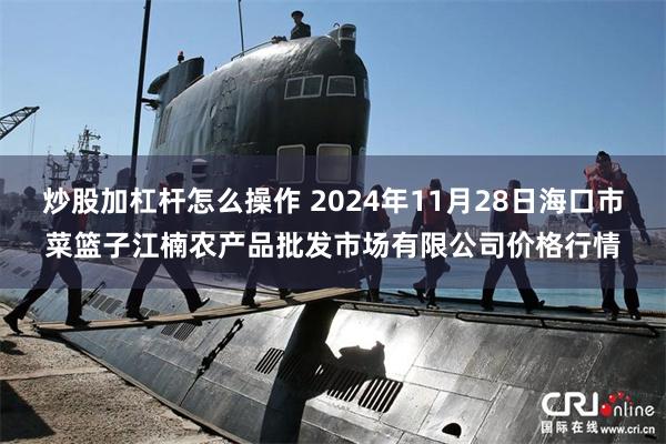 炒股加杠杆怎么操作 2024年11月28日海口市菜篮子江楠农