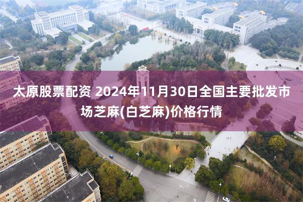 太原股票配资 2024年11月30日全国主要批发市场芝麻(白