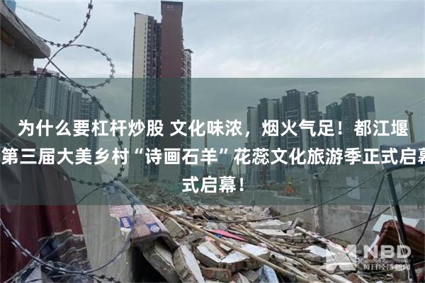 为什么要杠杆炒股 文化味浓，烟火气足！都江堰市第三届大美乡村