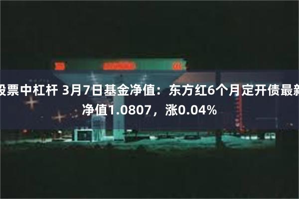 股票中杠杆 3月7日基金净值：东方红6个月定开债最新净值1.