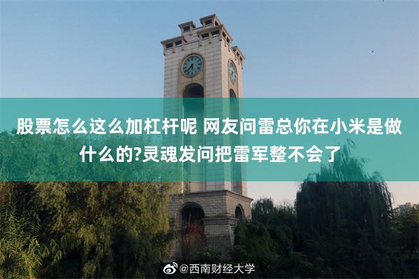 股票怎么这么加杠杆呢 网友问雷总你在小米是做什么的?灵魂发问