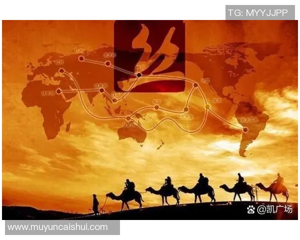 张宁：从普通学子到国际舞台的璀璨明星之路探索与启示